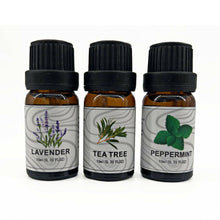 Load image into Gallery viewer, 3 Pack - Aromatherapy Essential Oils Gift Set for Humidifiers

