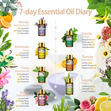 Load image into Gallery viewer, Pure Essential Oils 15pcs Gift Set Natural Plant Aroma
